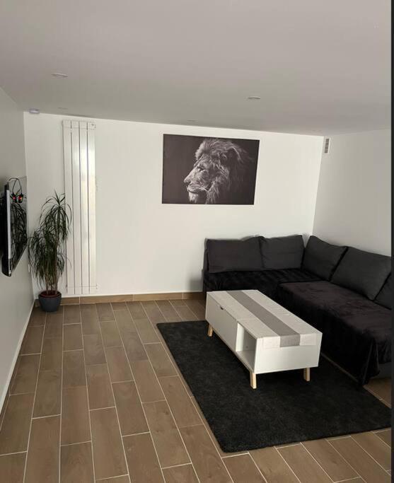 Apartment Neuf A 25mn Disneyland Et Paris Est